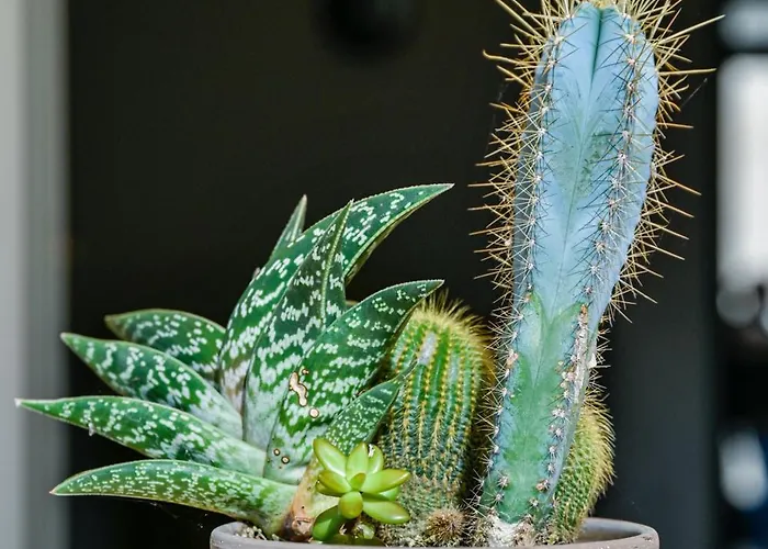 Сasa de vacaciones La Casa Di Amelia *